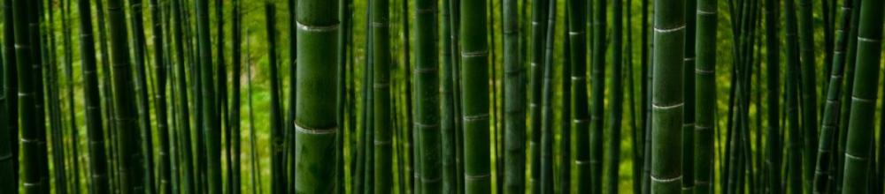 bambusdecke